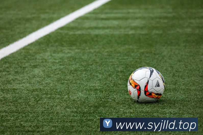 App Interface Preview