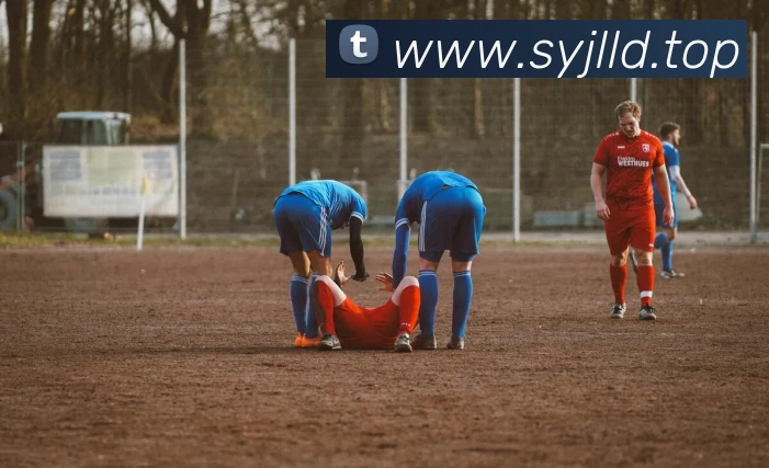 爱游戏体育官网登录APP 封面图